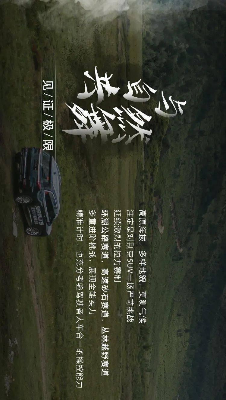 《一个女人一生中的24小时》《恋爱的犀牛》《两只狗的生活意见》《无政府》;电影提名、电影节开幕;艺术展
